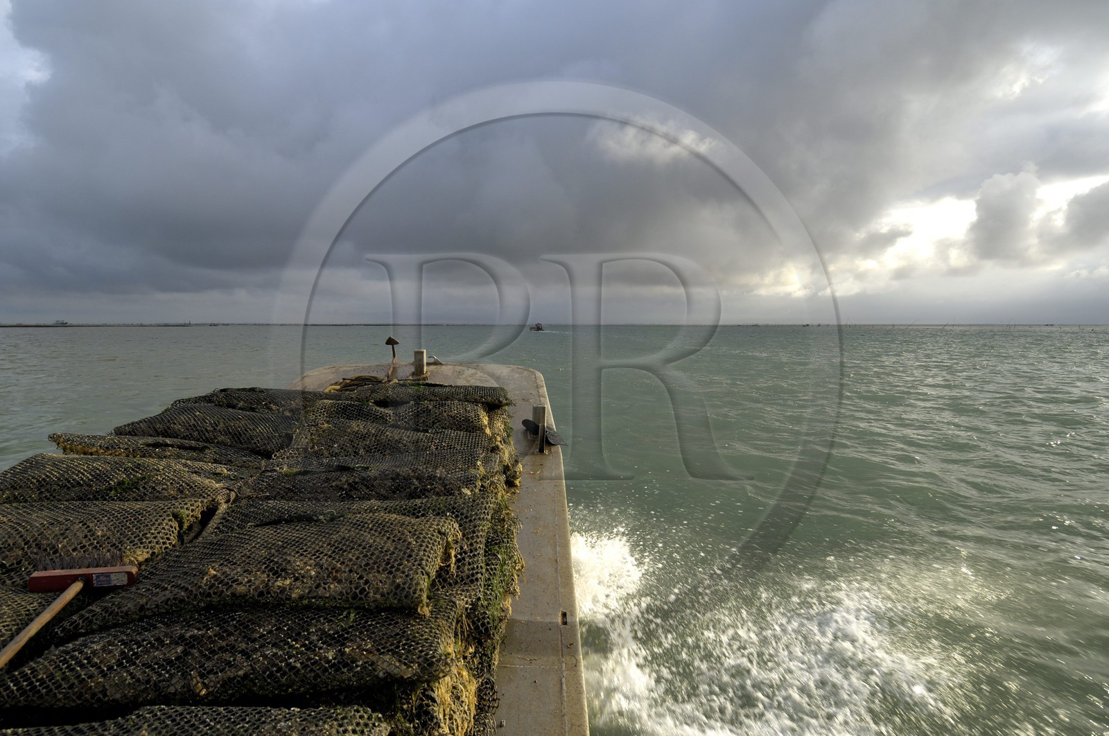 France, Charente-Maritime (17), le bassin Marrennes-Oléron au large de l'Ile d'Oléron