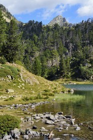 France, Hautes Pyrenees, Saint Lary Soulan and Vielle-Aure, hike on a variant of the GR10 between the Portet pass and the Bastan lakes on the edge of the Neouvielle nature reserve, lower Bastan lake