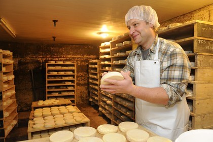 France, Haut Rhin, scenic road of la route des Cretes, Rural Inn Marcaire du Grand Hetre, Jean-Mathieu Spenle in the cellar to check the period of maturation of the munster cheese