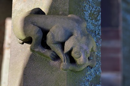 France, Bas-Rhin (67), Strasbourg, vieille ville classée au Patrimoine Mondial de l'UNESCO, sculpture du chien à l'os sur une balustrade de la facade nord de la cathédrale Notre-Dame