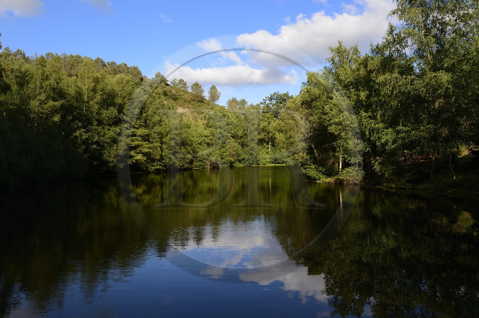 France, Morbihan (56), forêt de Brocéliande, Tréhorenteuc, la Mare aux Fées du Val sans Retour où selon la légende la Fée Morgane retenait ses amants infidèles