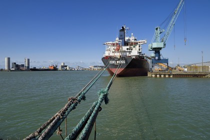 France, Charente-Maritime (17), La Rochelle, le Port Atlantique La Rochelle, port de commerce