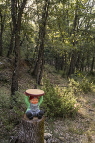 France, Var (83), Provence Verte, Bras, vers Saint-Maximin-la-Sainte-Baume, forêt du domaine Le Peyrourier - une campagne en Provence