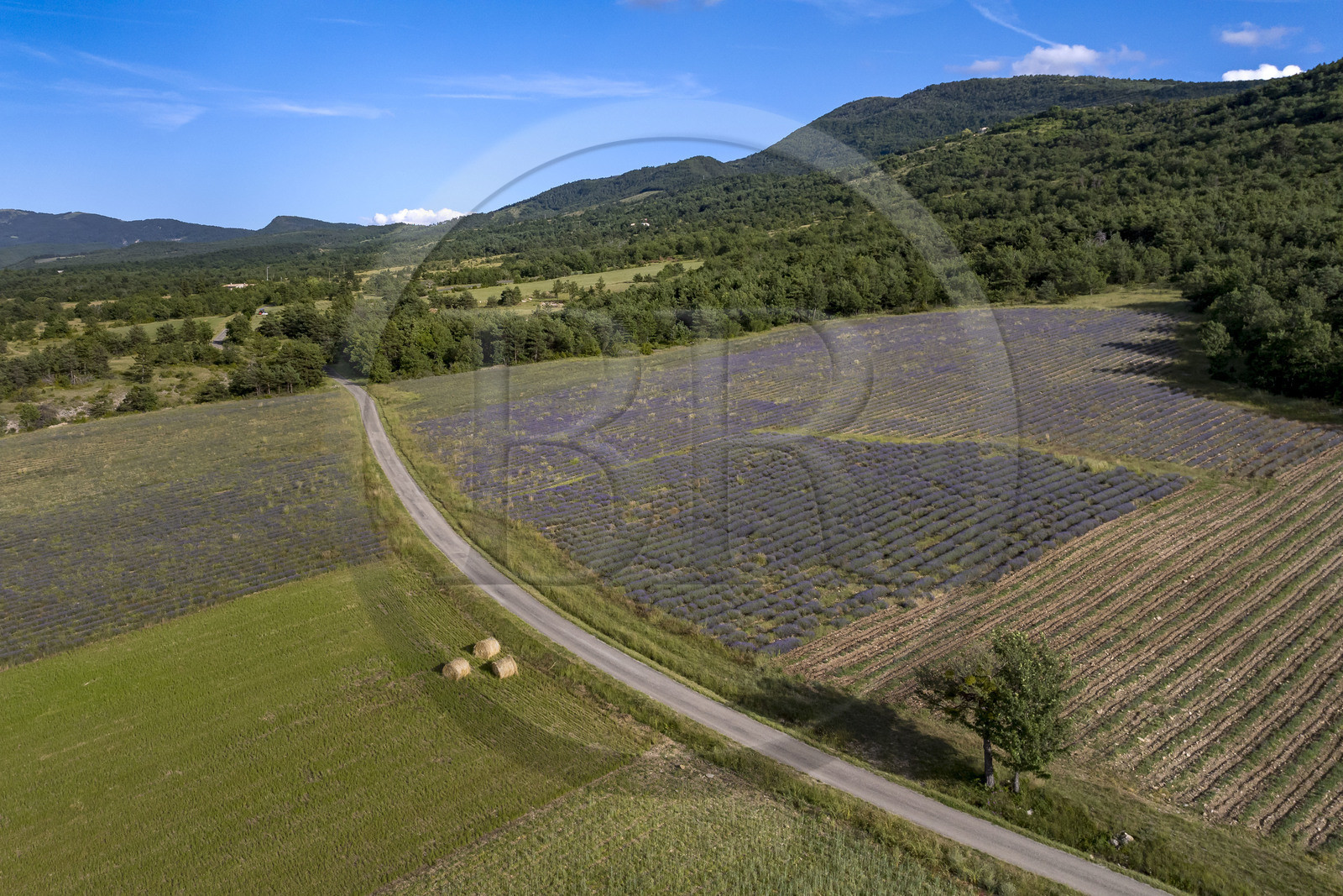 France, Drôme (26), parc naturel régional des Baronnies provençales, Saint-Auban-sur-l'Ouvèze, la vallée de l'Ouvèze (vue aérienne)