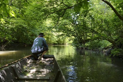 France, Bas-Rhin (67), région d'Ebersmunster et Muttersholtz, le Grand Ried, le batelier Patrick Unterstock dans une barque à fond plat en bois sur la rivière l'Ill
