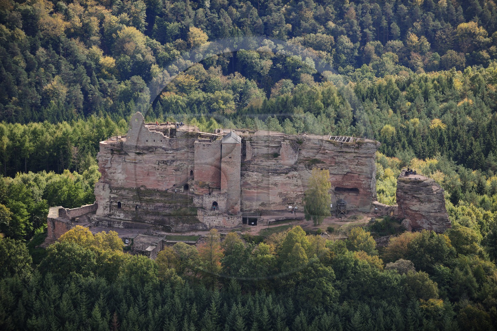 France, Bas-Rhin (67), château de Fleckenstein (photo aérienne)