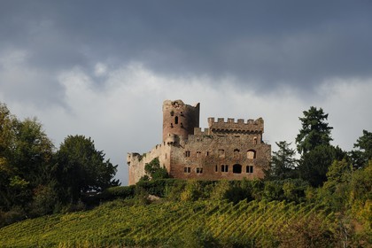France, Bas Rhin, Alsace Wine Road, Kintzheim castle and its vineyards