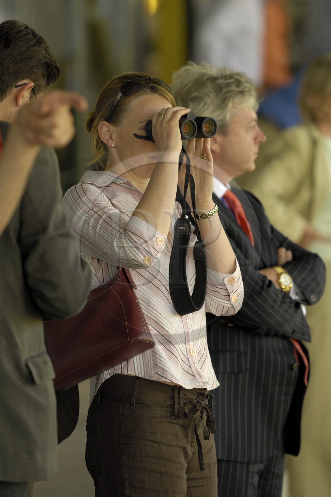 Republic of Ireland, County Meath, Ratoath, Fairyhouse racecourse, racegoers