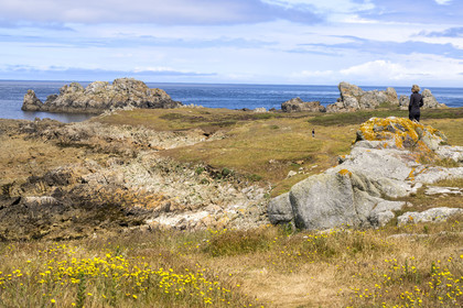 France, Finistère (29), Mer d'Iroise, Ile d'Ouessant, la cote dechiquetée et les rochers de la cote Nord