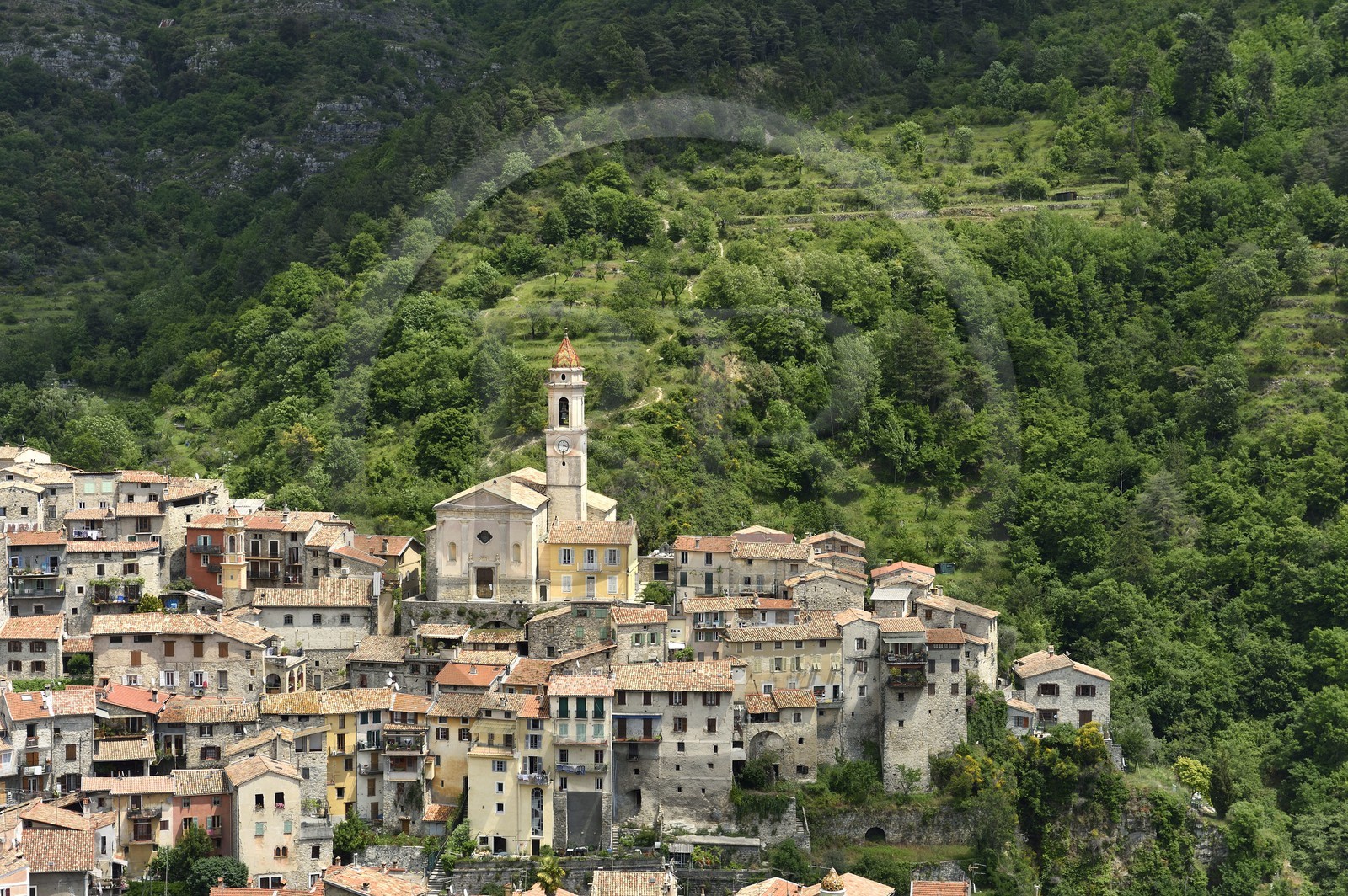 France, Alpes-Maritimes (06), le village perché de Lucéram dominée par l'église Sainte-Marguerite