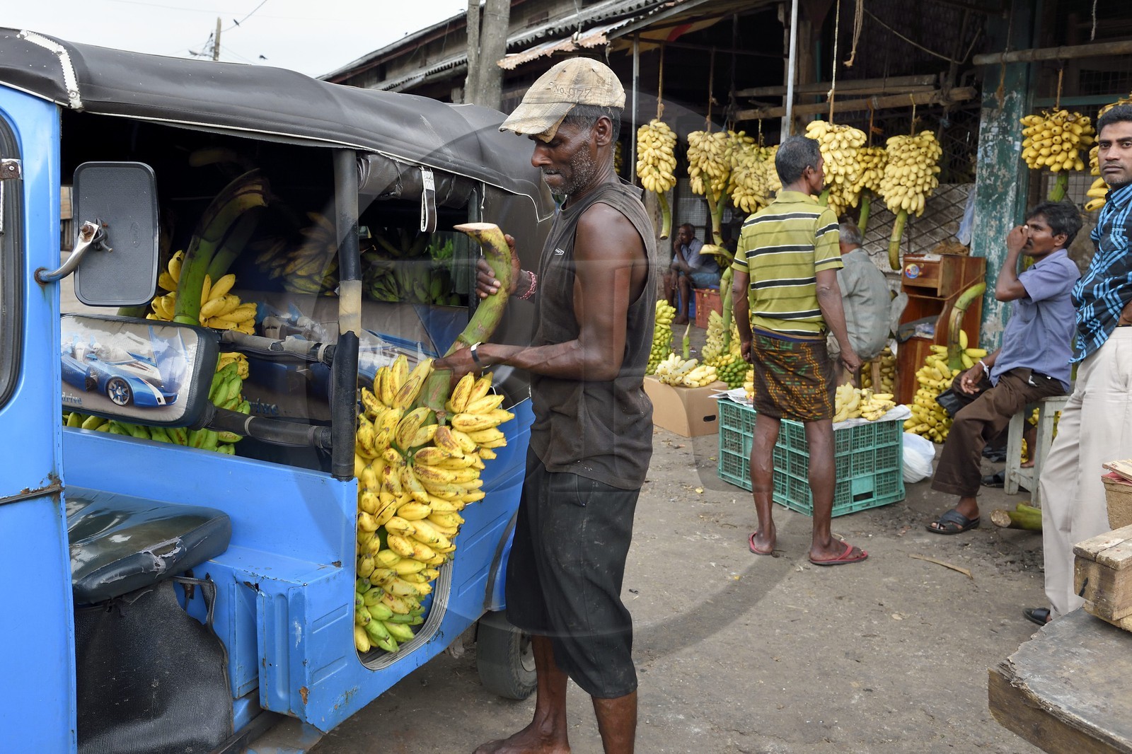 Sri Lanka, province de l'ouest, district de Colombo, Colombo, le marché de fruits et légumes Manning dans le quartier de Pettah