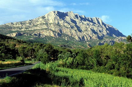 France, Bouches du Rhone, Montagne Sainte Victoire