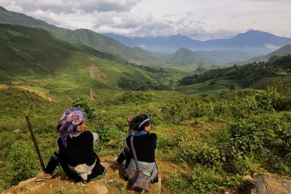Vietnam, province de Lao Cai, région de Nord-Ouest de Sapa, paysans de la minorité Hmong Bleu