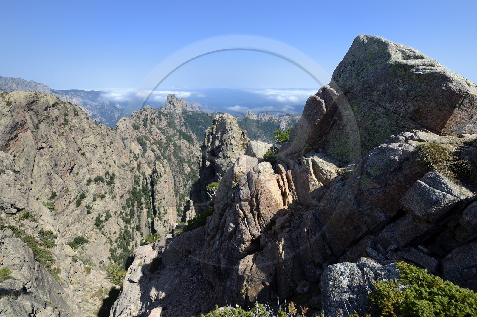 France, Corse du Sud, Alta Rocca, massif of Bavella from the Punta Velacu