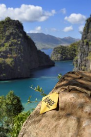 Philippines, Calamian Islands dans le nord de Palawan, Coron Island Natural Biotic Area, lagon sur le chemin du lac Kayangan, falaises abruptes et formations rocheuses karstique en calcaire du Permien