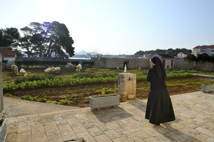 Croatie, Dalmatie, côte dalmate, Ile d’Ugljan, couvent franciscain Saint-Jérôme de la congrégation des Filles de la Miséricorde, sœur Theresija dans le jardin potager
