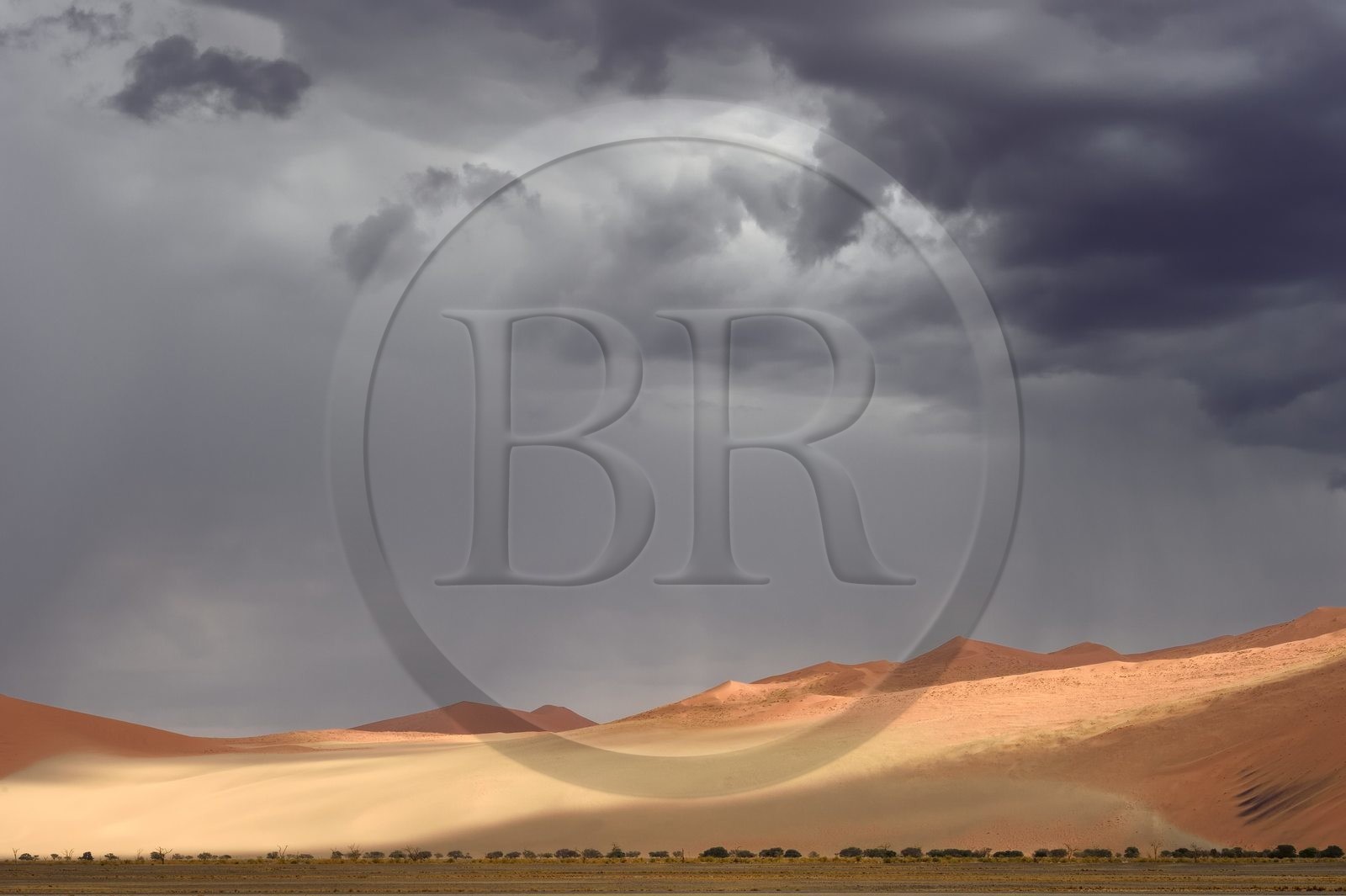 Namibie, région d'Hardap, désert du Namib, parc national du Namib-Naukluft, Erg du Namib classé Patrimoine Mondial de l'UNESCO, dunes de Sossusvlei