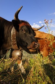 Suisse, canton de Vaud, Les Diablerets