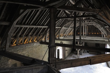 France, Côte-d'Or (21), le Château du Clos-de-Vougeot (vignoble des Côtes de Nuit), la cuverie à l'imposante charpente