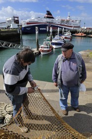 France, Seine-Maritime (76), Le Havre, port de pêche