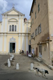 France, Haute-Corse (2B), Bastia, la Citadelle quartier de Terra-Nova, l'ancienne cathédrale Sainte-Marie et la maison où Victor Hugo et son père séjournèrent de 1803 à 1805 sur la droite