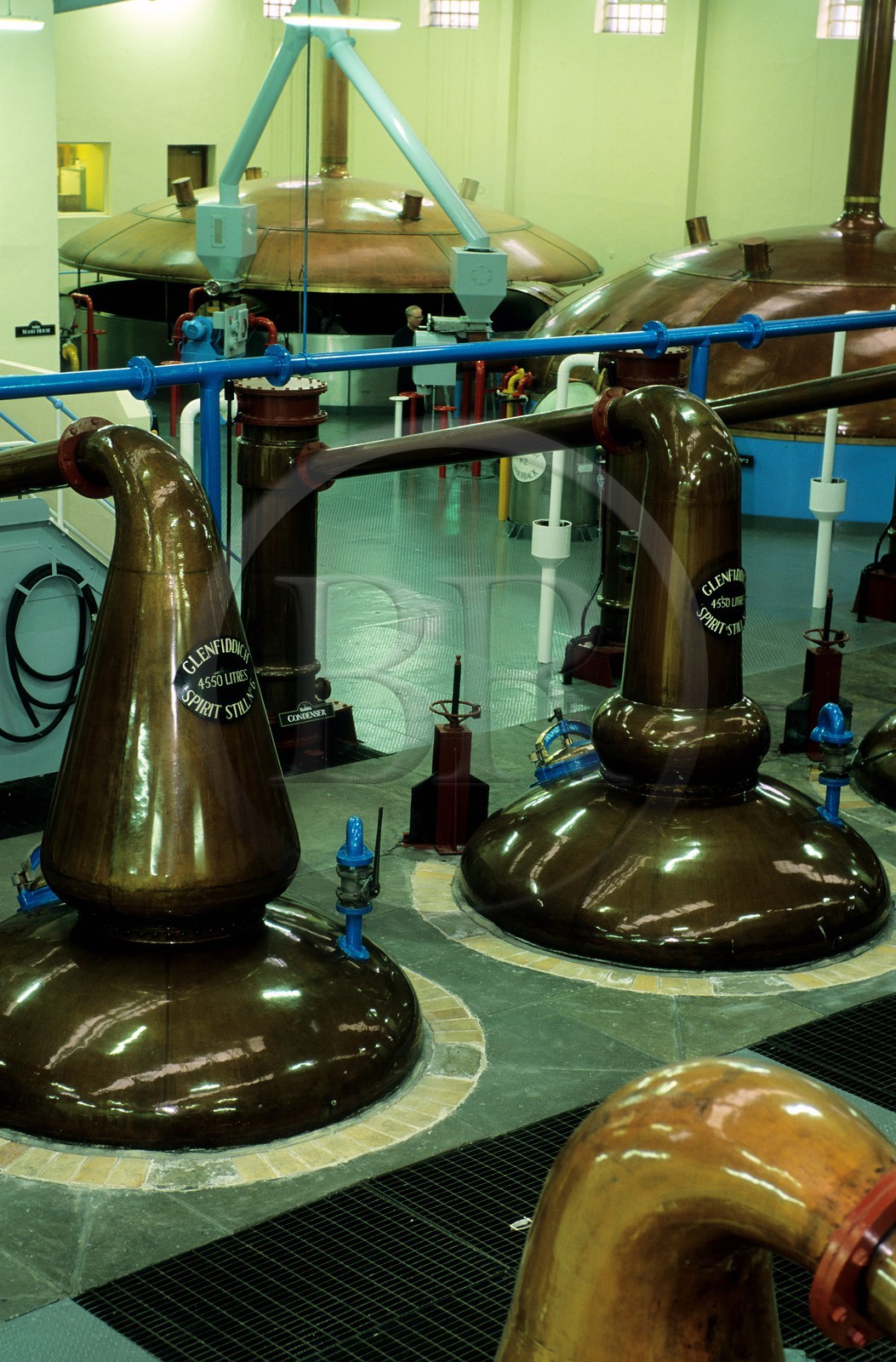 Royaume-Uni, Ecosse, Moray, Dufftown, Glenfiddich distillery, alambics en cuivre traditionnel pour la double distillation du whisky