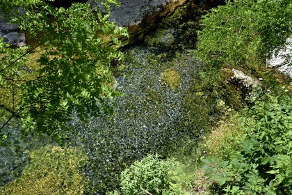 France, Alpes-Maritimes, Roya Valley, La Brigue, several small sources converge in a stream below the Notre Dame des Fontaines Chapel sanctuary