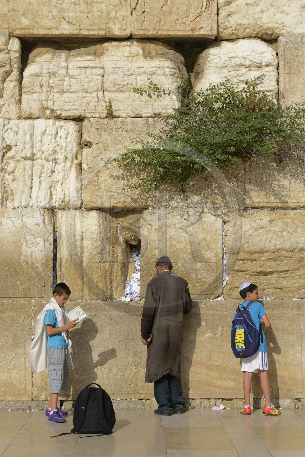 Israel, Jérusalem, ville sainte, vieille-ville classée Patrimoine Mondial de l'UNESCO, Mur des Lamentations ou mur occidental faisant partie des murs de soutènement de l'esplanade du Temple construite par Hérode Ier le Grand