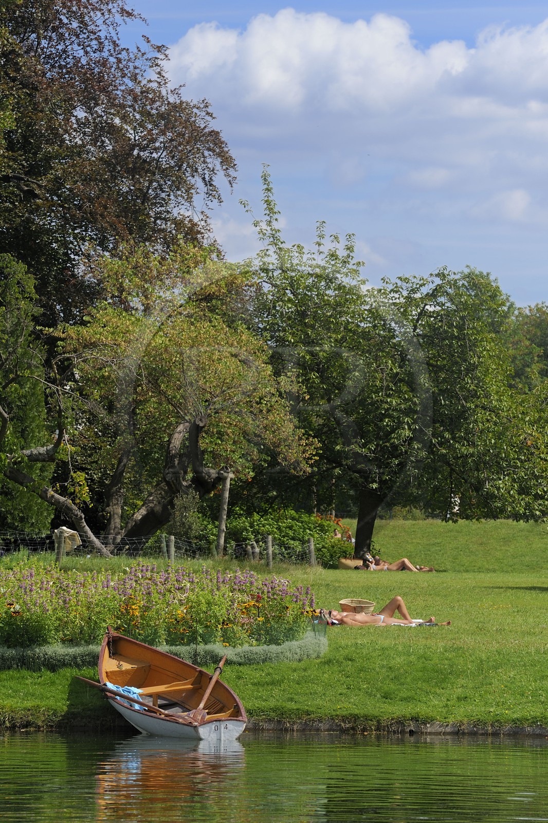 France, Paris (75), le Bois de Boulogne, promenade en barque autours des iles du Lac Inférieur