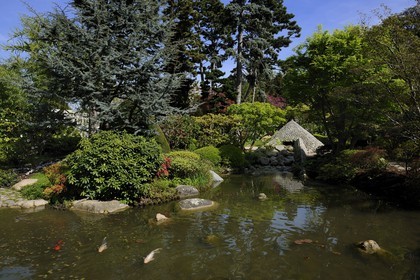 France, Hauts-de-Seine (92), Boulogne-Billancourt, le jardin japonais du musée départemental Albert-Kahn