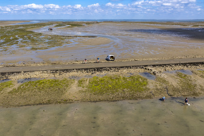 France, Vendée (85), île de Noirmoutier, Barbatre, cyclistes sur le passage du Gois, chaussée submersible qui relie l'île au continent à marrée basse (vue aérienne)