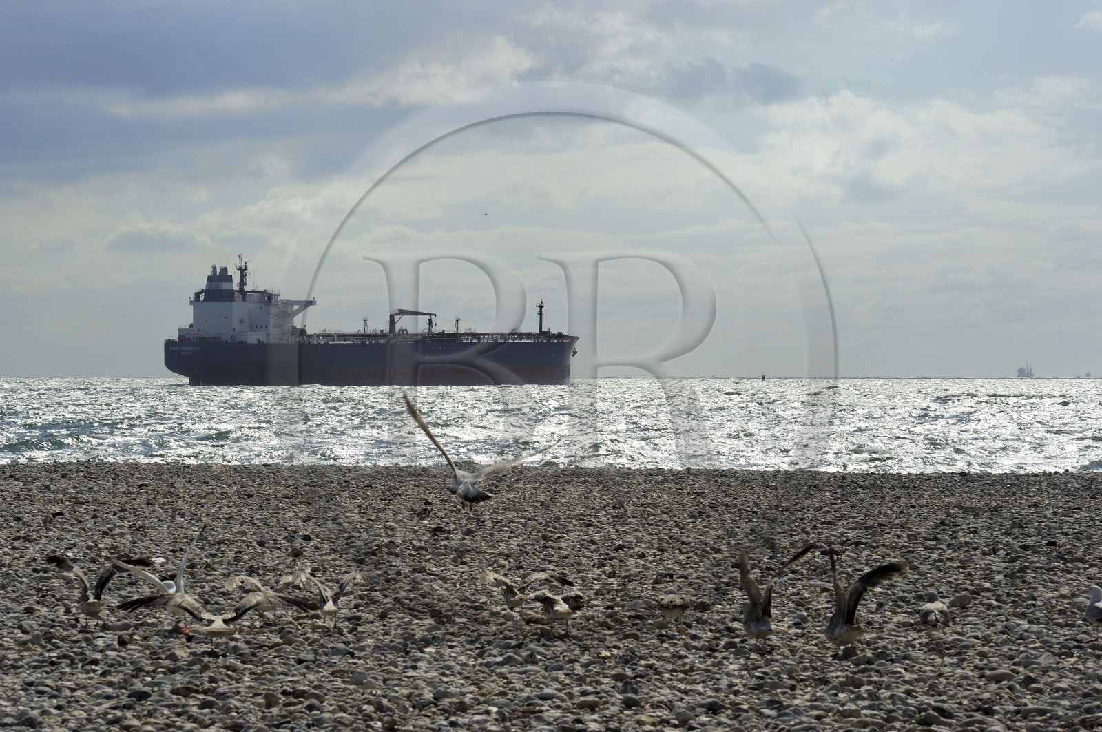 France, Seine-Maritime (76), Le Havre, cargo quittant le port du Havre vu de la plage de la ville