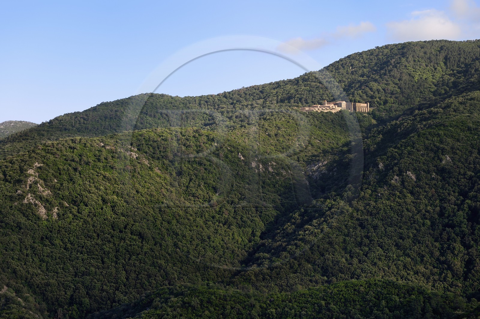 France, Var (83), Massif des Maures, Collobrières, chartreuse de la Verne