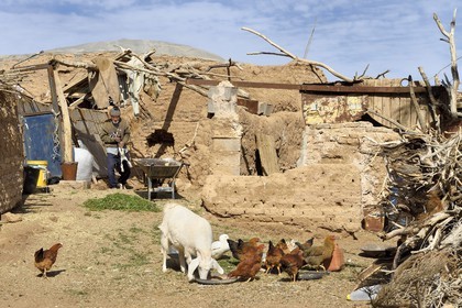 Iran, Province d'Ispahan, désert du Dasht-e Kavir, l'oasis d'Arousan dans la région de Khur et Biabanak, Mohamed Vahab 85 ans et son petit élevage de poules et de chèvres