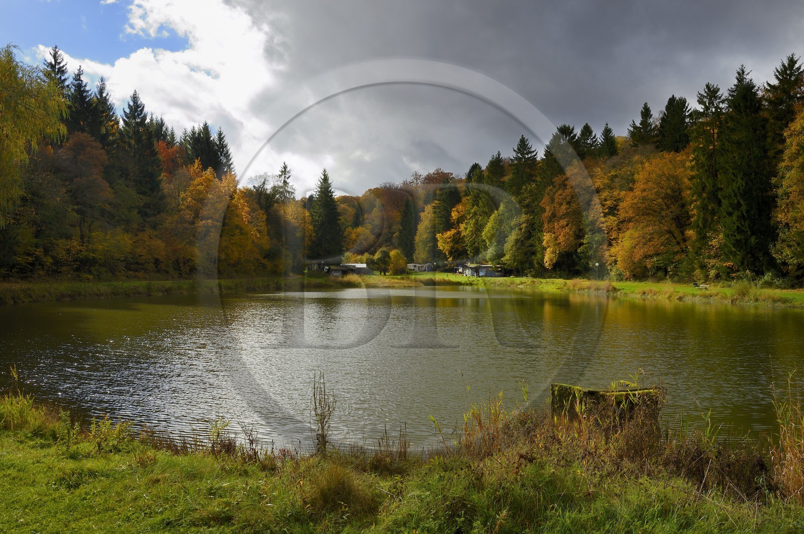 France, Meuse, Lorraine Regional Park, Cotes de Meuse, Dommartin-la-Montagne, the Longeau ponds