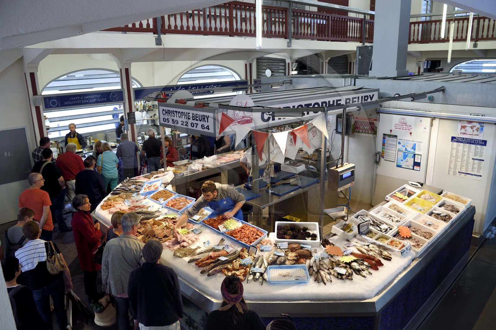 France, Pyrenees Atlantiques, Basque Country, Biarritz, the covered market les Halles, the fishmonger's hall