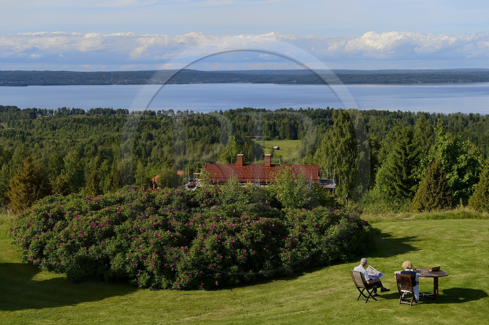 Suède, comté de Dalécarlie, région de Leksand, Tällberg sur la rive du lac Siljan