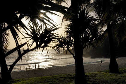 France, île de la Réunion, la côte sud, plage de Grande-Anse
