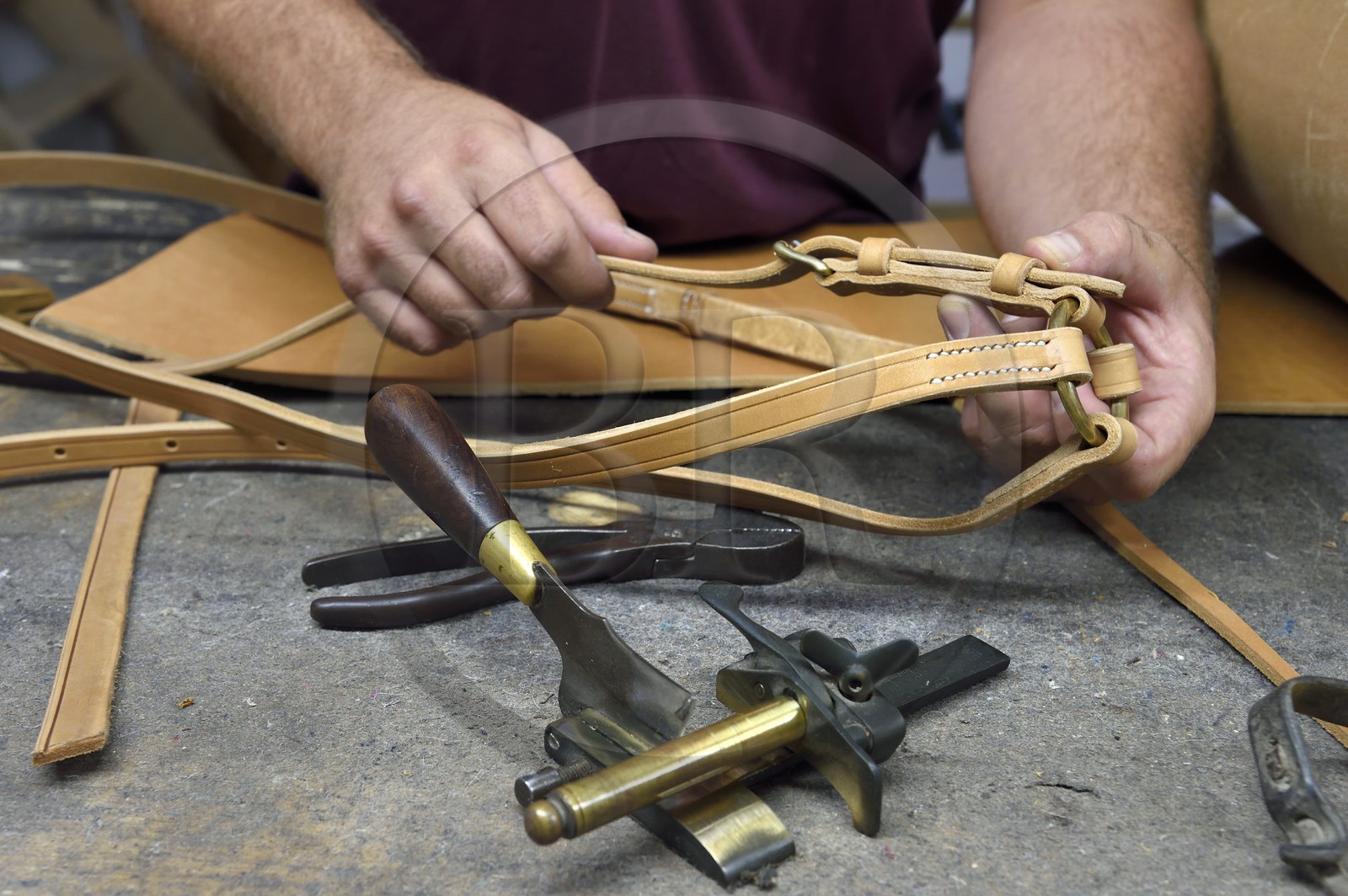 France, Gard, Fourques, saddlery and harness manufacturing in Victor Mailhan's workshop, martingale