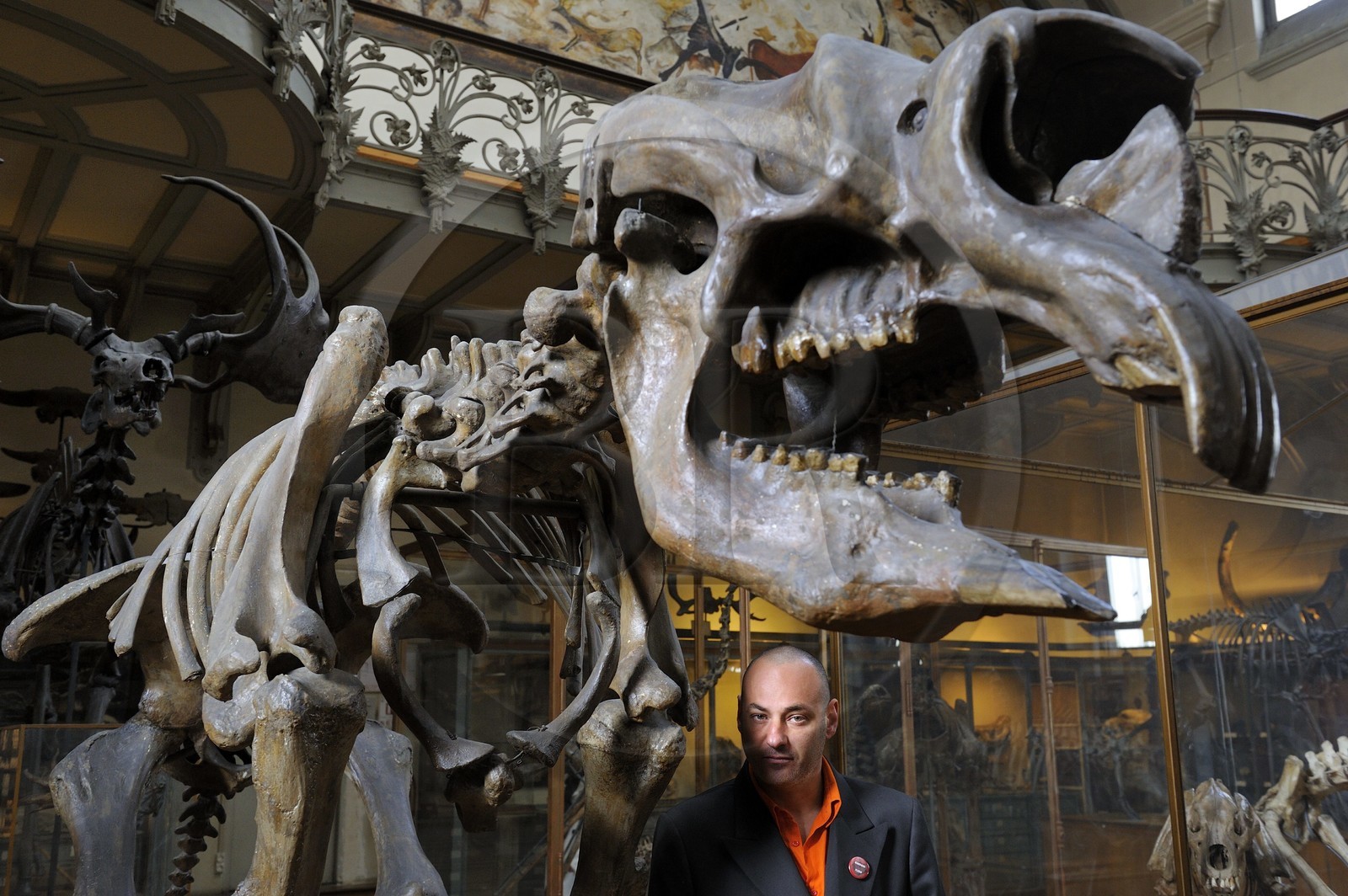 France, Paris (75), Jardin des Plantes, Museum National d'Histoire Naturelle, Galeries de Paléontologie et d'Anatomie comparée