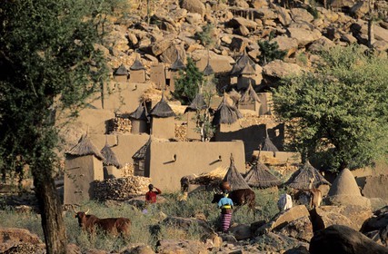 Mali, pays Dogon, falaise de Bandiagara, classé Patrimoine Mondial de l'UNESCO, village de case de Tereli