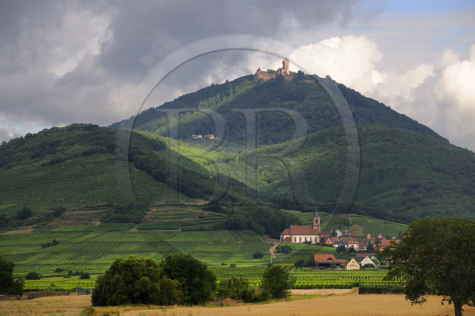 France, Bas Rhin, Alsace Wine Road, Haut Koenigsbourg Castle and the village of Orschwiller