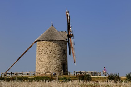 France, Manche (50), Baie du Mont-Saint-Michel, route des moulins, moulin à vent de Moidrey