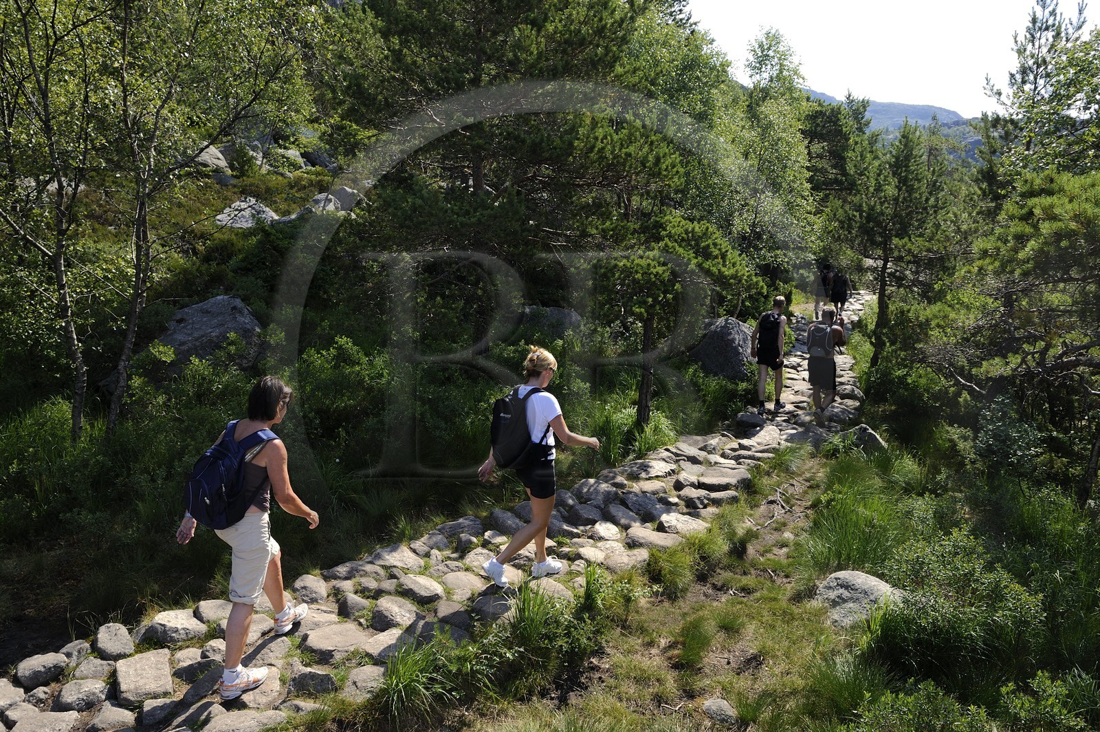 Norvège, Rogaland, région du Lysefjord, chemin de randonnée menant au Rocher de La Chaire (Preikestolen)