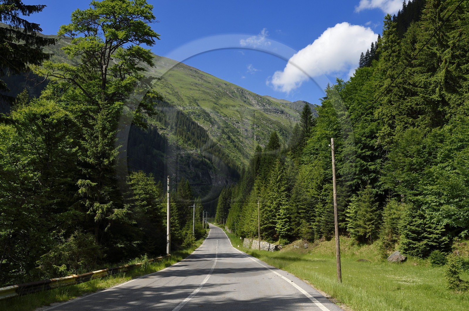 Roumanie, Valachie, Muntenie, Comté de Arges, les monts Fagaras le long de la Route Transfagarasan dans les Carpates du Sud