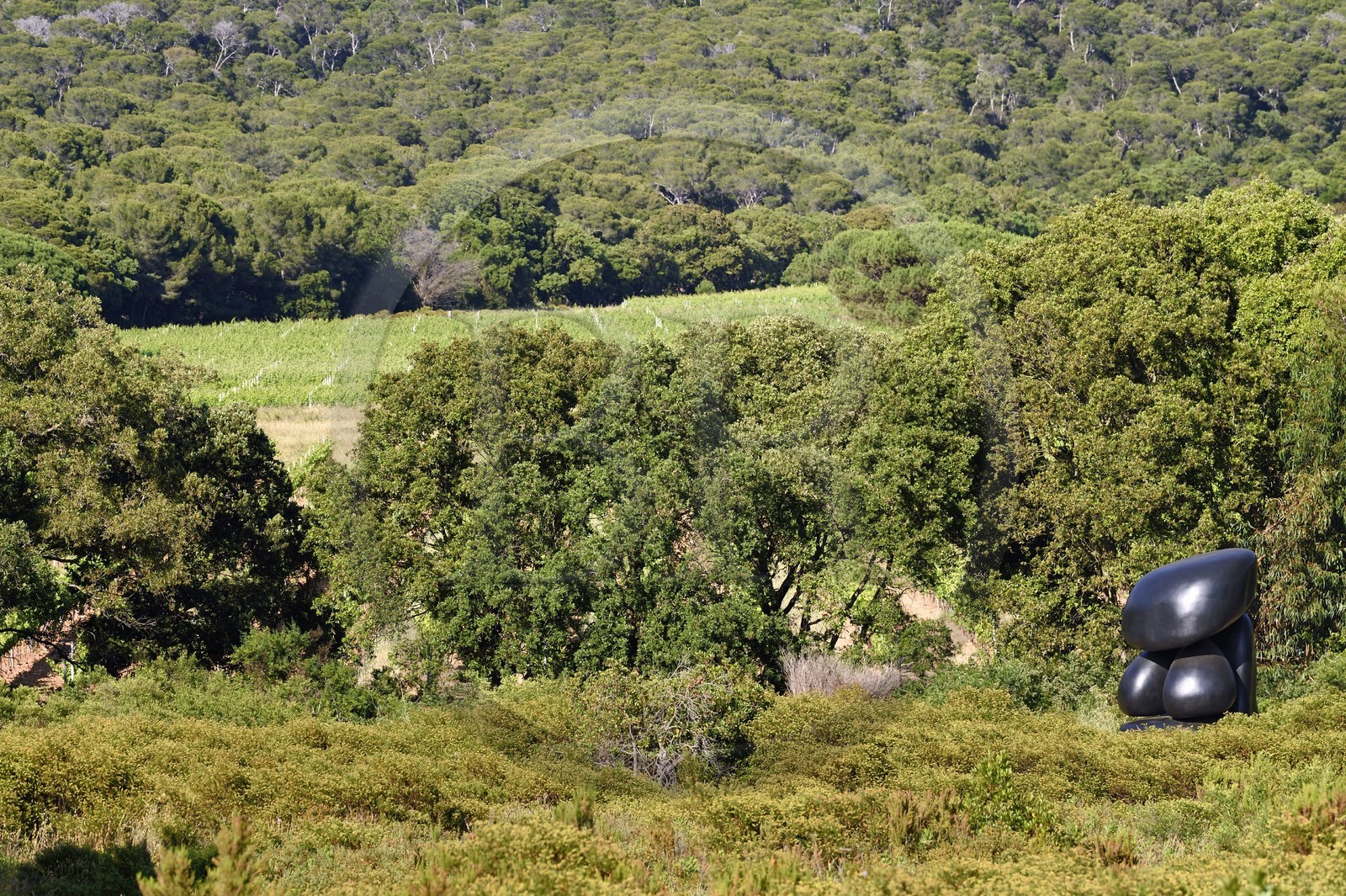 France, Var, Iles d'Hyeres, Parc National de Port Cros (National park of Port Cros), Porquerolles island, Fondation Carmignac, LOLO by Wang Keping