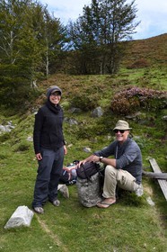 France, Pyrenees Atlantiques, Basque Country, Camino de Santiago (the Way of St. James) on the GR 65 between Saint Jean Pied de Port and Roncesvalles towards the Bentarte Pass