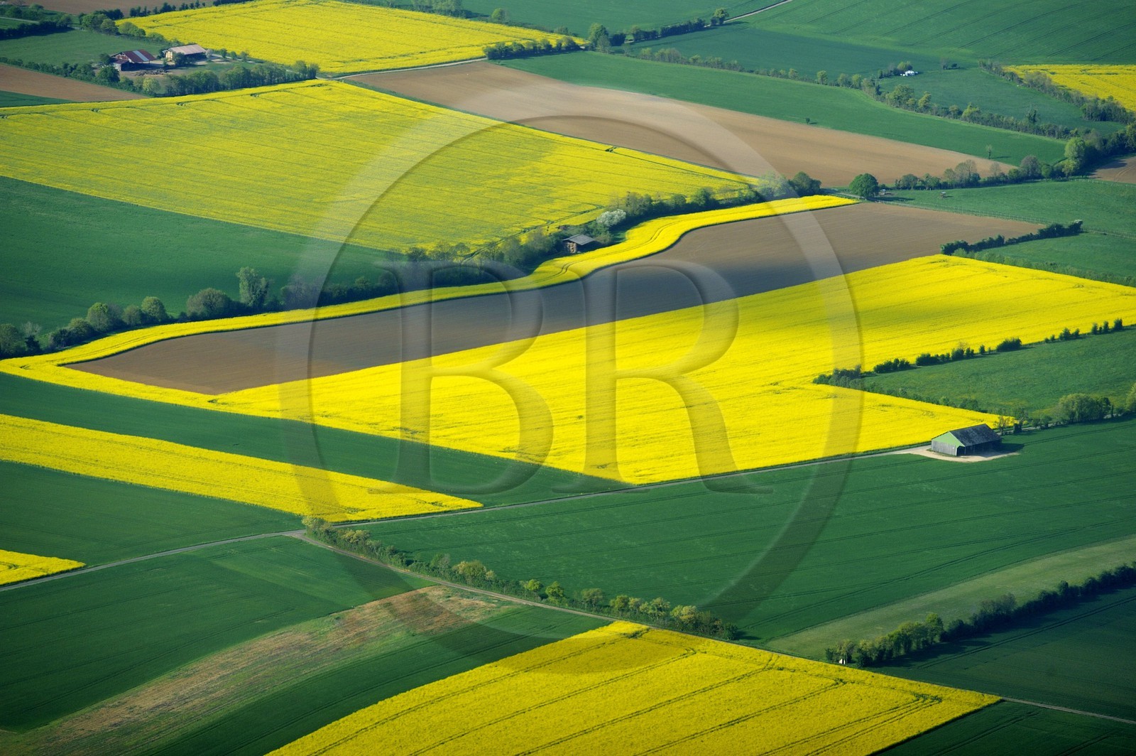 France, Eure (27), champ de colza en fleurs (vue aérienne)