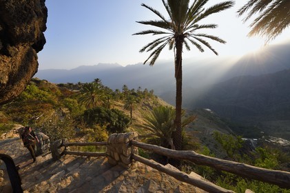 Sultanat d'Oman, Gouvernorat d'Al-Batina du Sud, Hajar occidental, Wadi Mistall, village de Wakan (Wukan), le sentier de randonnée comprenant 700 marches monte à travers les jardins en terrasses et le long de canaux d'irrigation