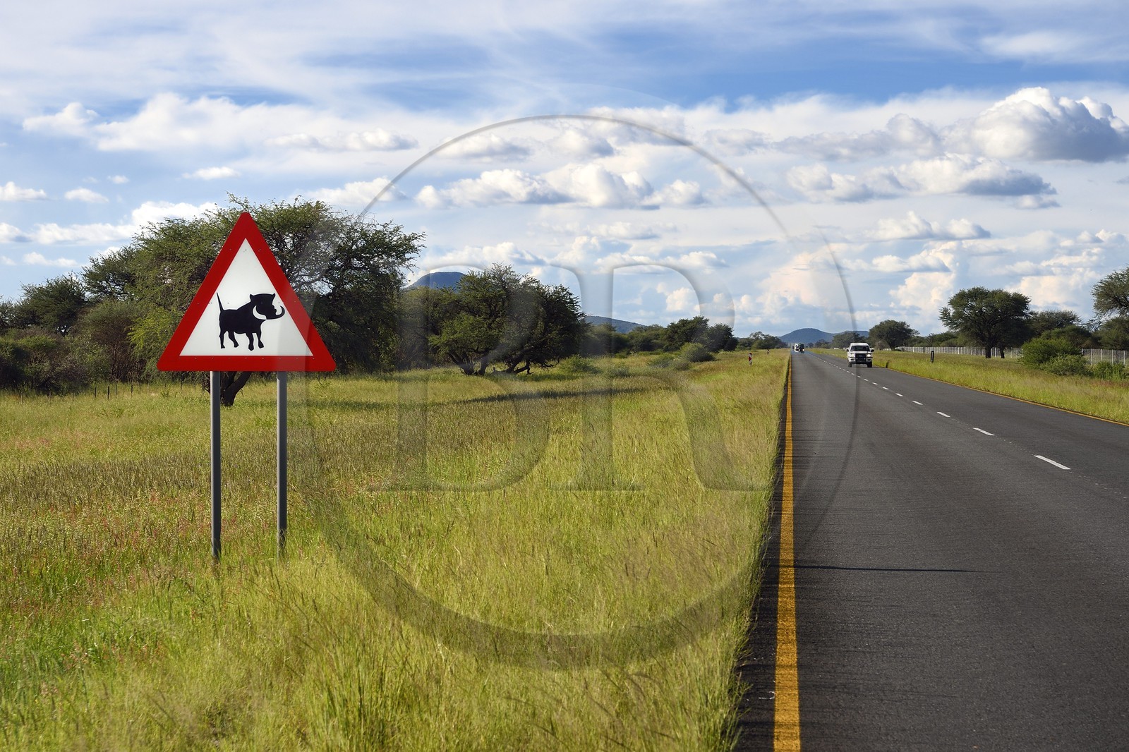 Namibie, région de Otjozondjupa, route nationale B1, panneau danger phacochère